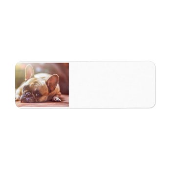 French Bulldog Laying Label by BreakoutTees at Zazzle