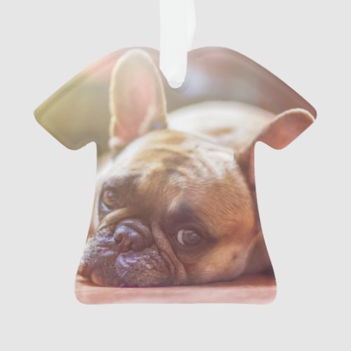 french bulldog laying ornament