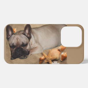 French Bulldog Leisure French Bulldog iPhone 13 Pro Case