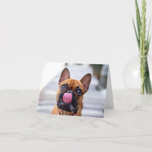 french bulldog licks thank you card