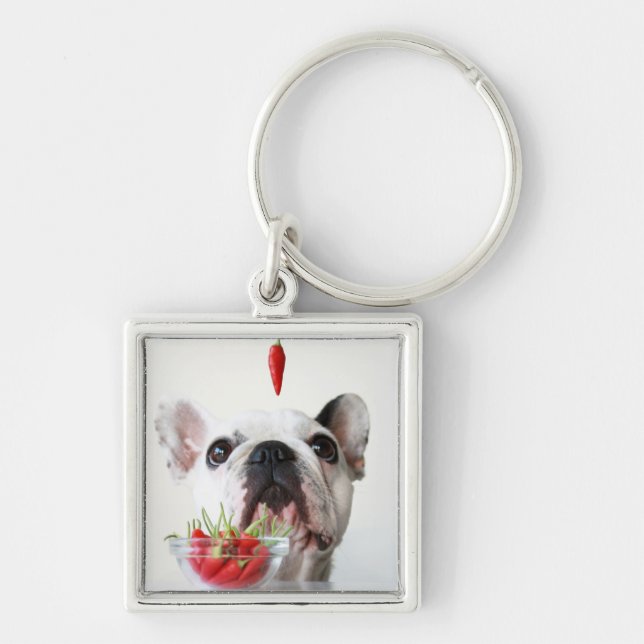 French Bulldog Looking At A Red Pepper Keychain (Front)