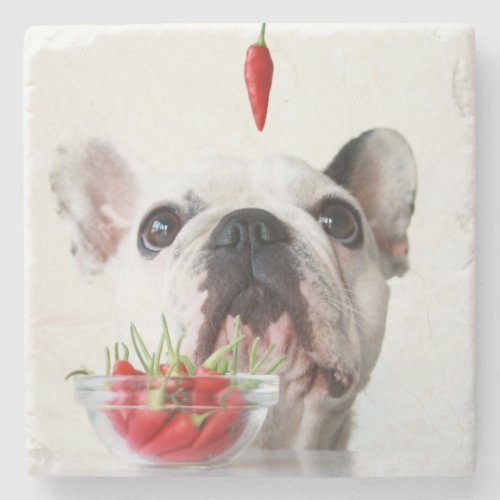 French Bulldog Looking At A Red Pepper Stone Coaster