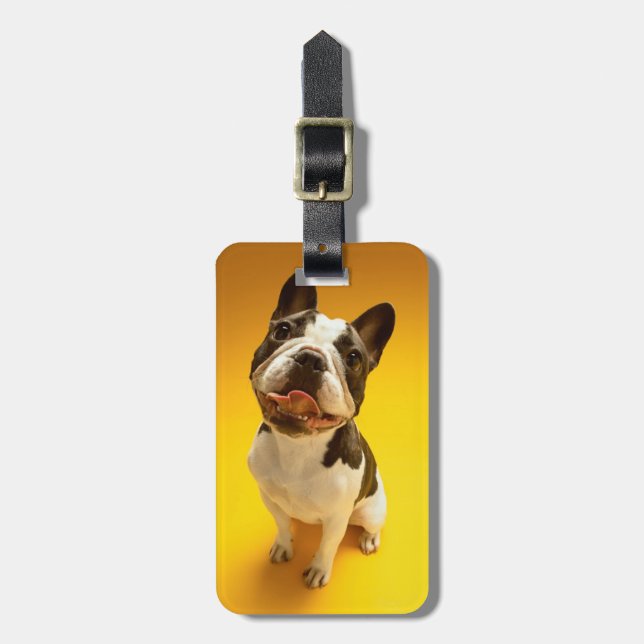 French Bulldog Looking Up Luggage Tag (Front Vertical)