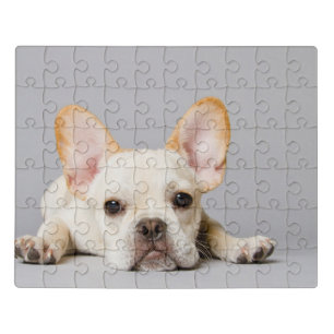 French Bulldog Lying Down Jigsaw Puzzle