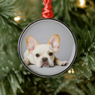 French Bulldog Lying Down Metal Ornament