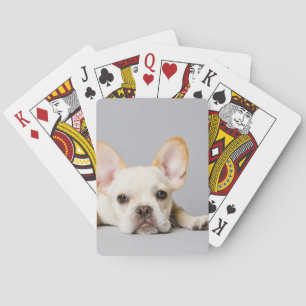 French Bulldog Lying Down Poker Cards
