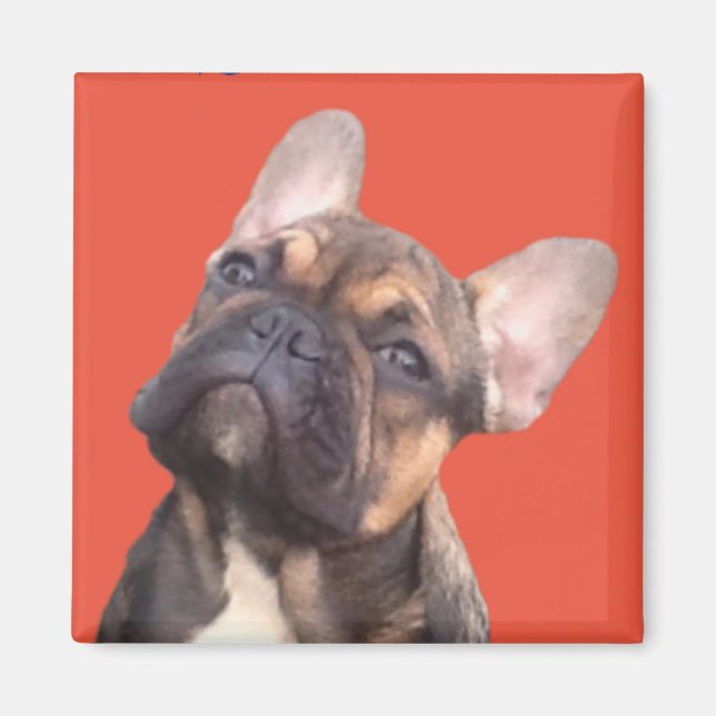 French Bulldog Magnet (Front)