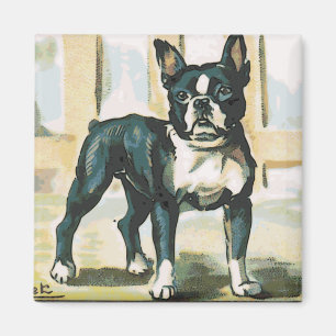 French Bulldog Magnet