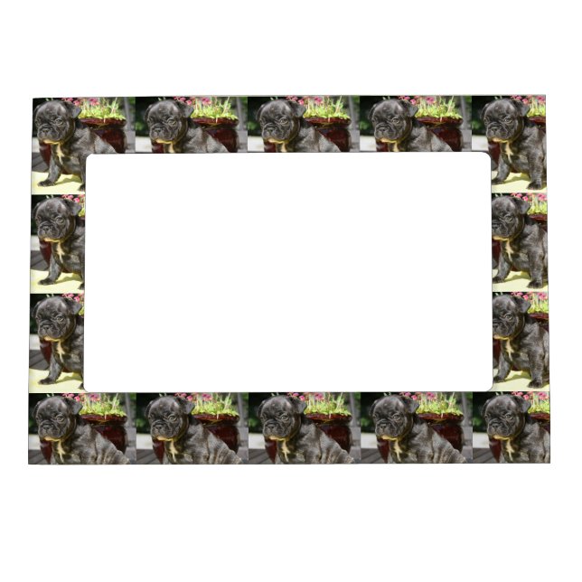 French Bulldog Magnet Frame (Front)