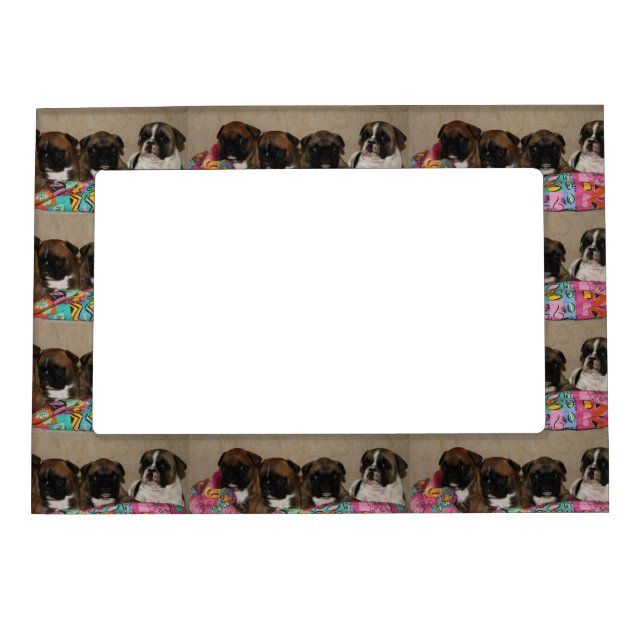 French Bulldog Magnet Frames (Front)
