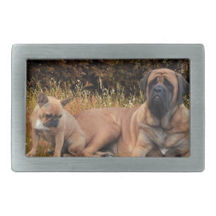French Bulldog Mastiff Belt Buckle