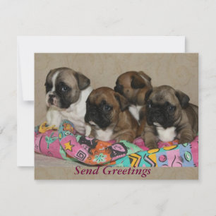 French Bulldog Merry Christmas Invitation