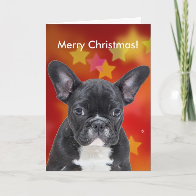French Bulldog Merry Christmas Stars Card (Front)
