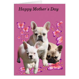 French Bulldog Mother's Day French Bulldog Cards