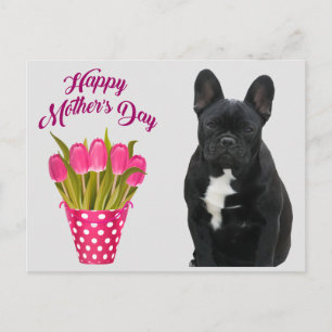 French Bulldog Mother's Day postcard