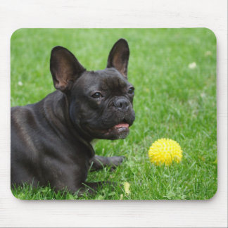 French Bulldog Mouse Pad
