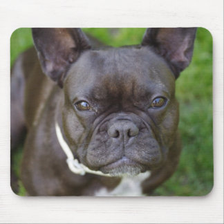 French Bulldog Mouse Pad