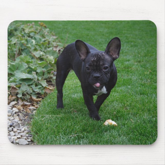 French Bulldog Mouse Pad (Front)