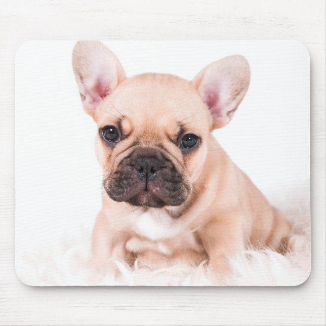 French Bulldog Mouse Pad (Front)