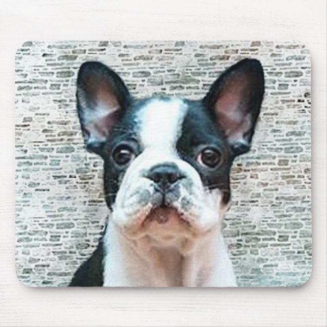 French Bulldog mousepad (Front)