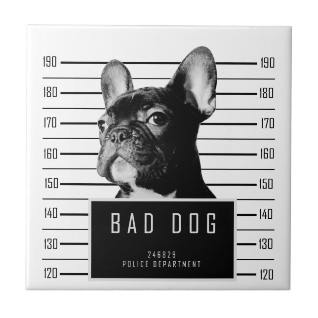 French Bulldog Mugshot Shirt Ceramic Tile (Front)