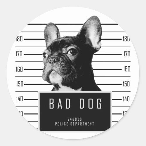 French Bulldog Mugshot Shirt Classic Round Sticker