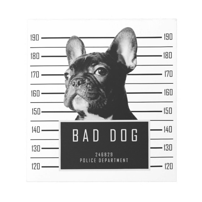French Bulldog Mugshot Shirt Notepad (Front)