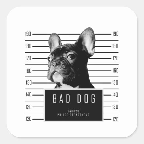 French Bulldog Mugshot Shirt Square Sticker
