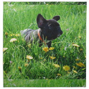 French Bulldog napkins napkins