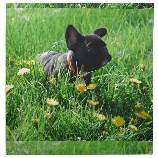 French Bulldog napkins napkins (Front)