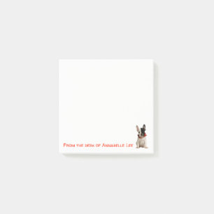 French Bulldog Notes