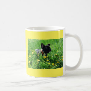 French Bulldog on a meadow Coffee Mug
