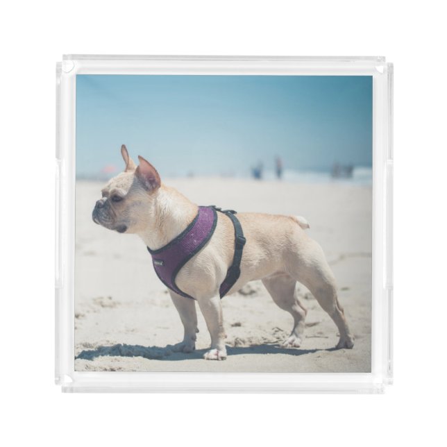 French Bulldog On Beach Acrylic Tray (Front)