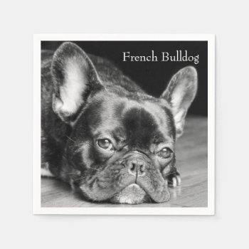 French Bulldog Paper Napkins by artinphotography at Zazzle
