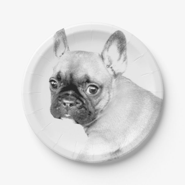 French Bulldog Paper Plates (Front)