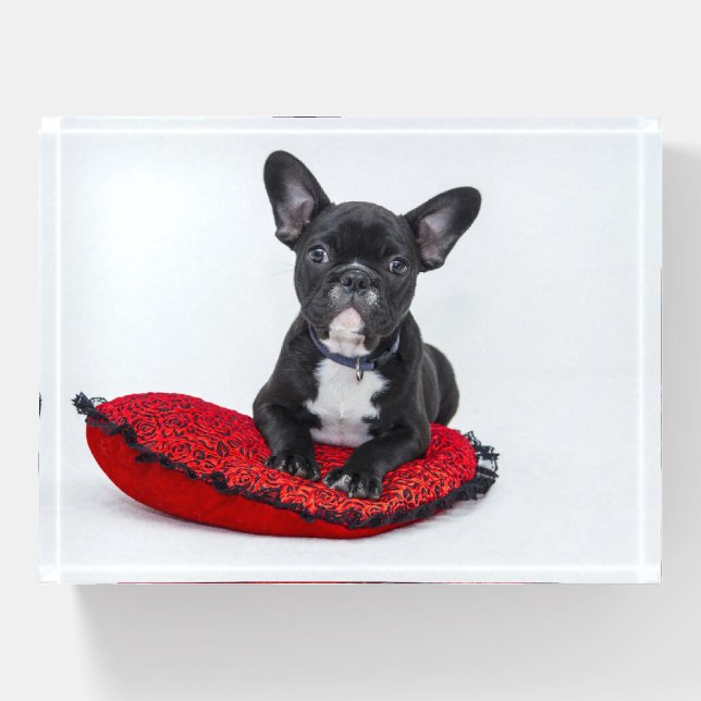 French Bulldog Paperweight (Front)