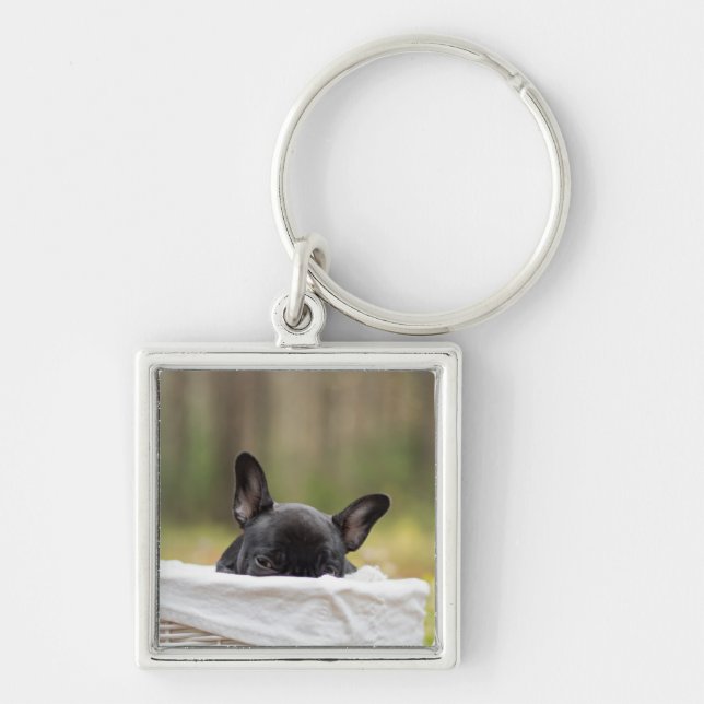 french bulldog peeking puppy keychain (Front)