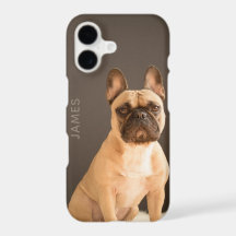 French Bulldog Personalized Name | Dog