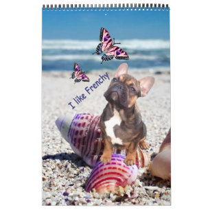 French Bulldog photo collection  Bulldog Calendar