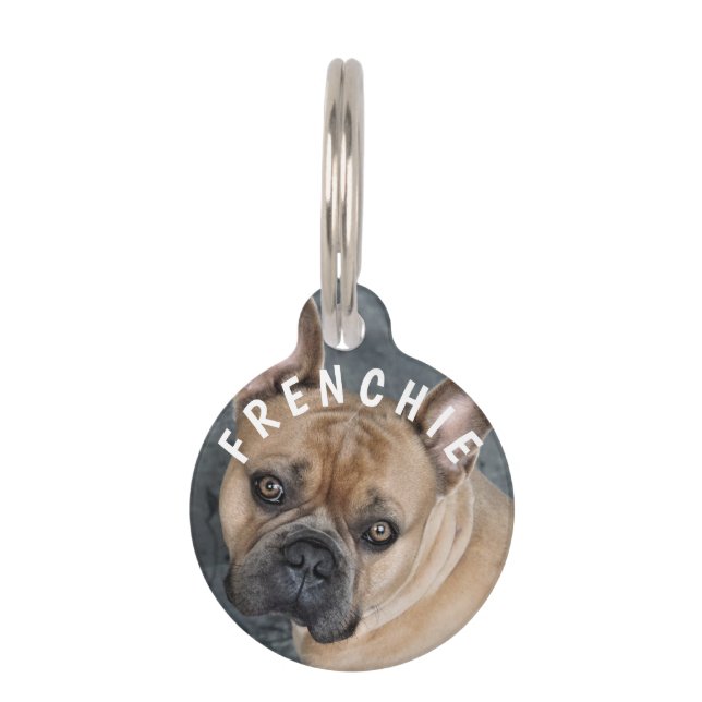 FRENCH BULLDOG PHOTO NAME PET TAG Custom Blue (Front)