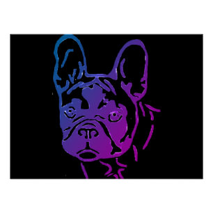 French Bulldog Photo Print Poster