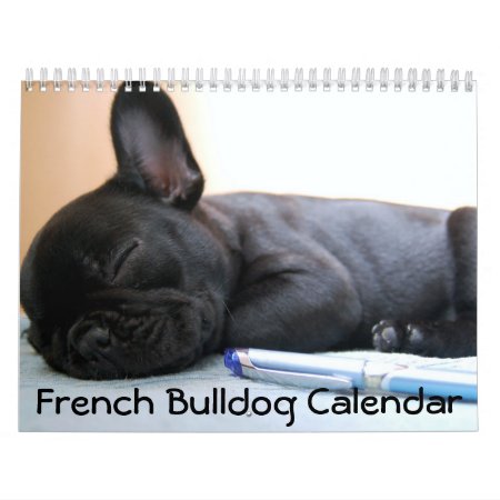 French Bulldog Photos Calendar 2024