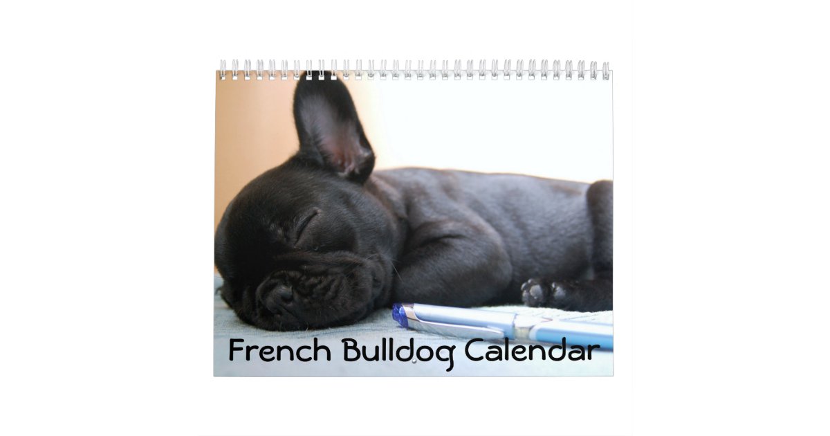 French Bulldog Photos Calendar 2024 | Zazzle