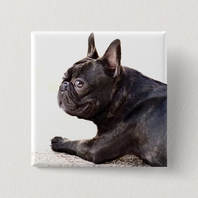 French Bulldog Pinback Button (Front)