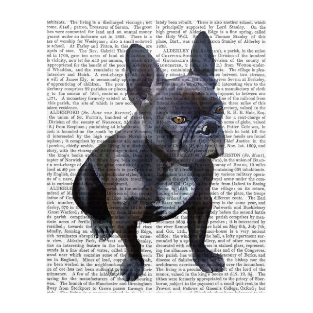 French Bulldog Plain Acrylic Print (Front)