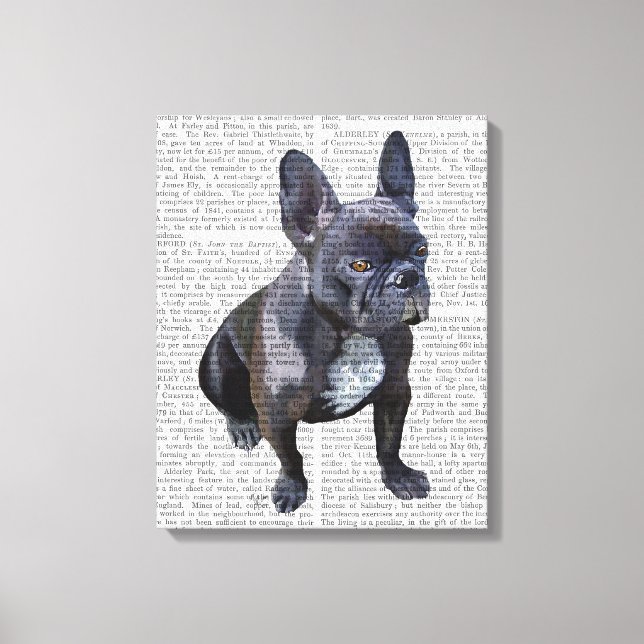 French Bulldog Plain Canvas Print (Front)