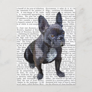 French Bulldog Plain Postcard