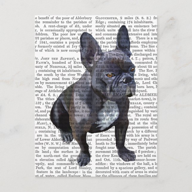 French Bulldog Plain Postcard (Front)