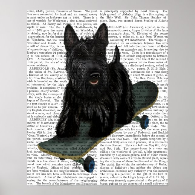 French Bulldog Plain Poster (Front)