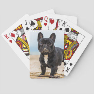 French Bulldog Playing in the Sand Poker Cards